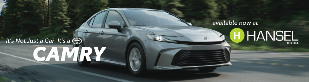 Petaluma Evergreen Billboard